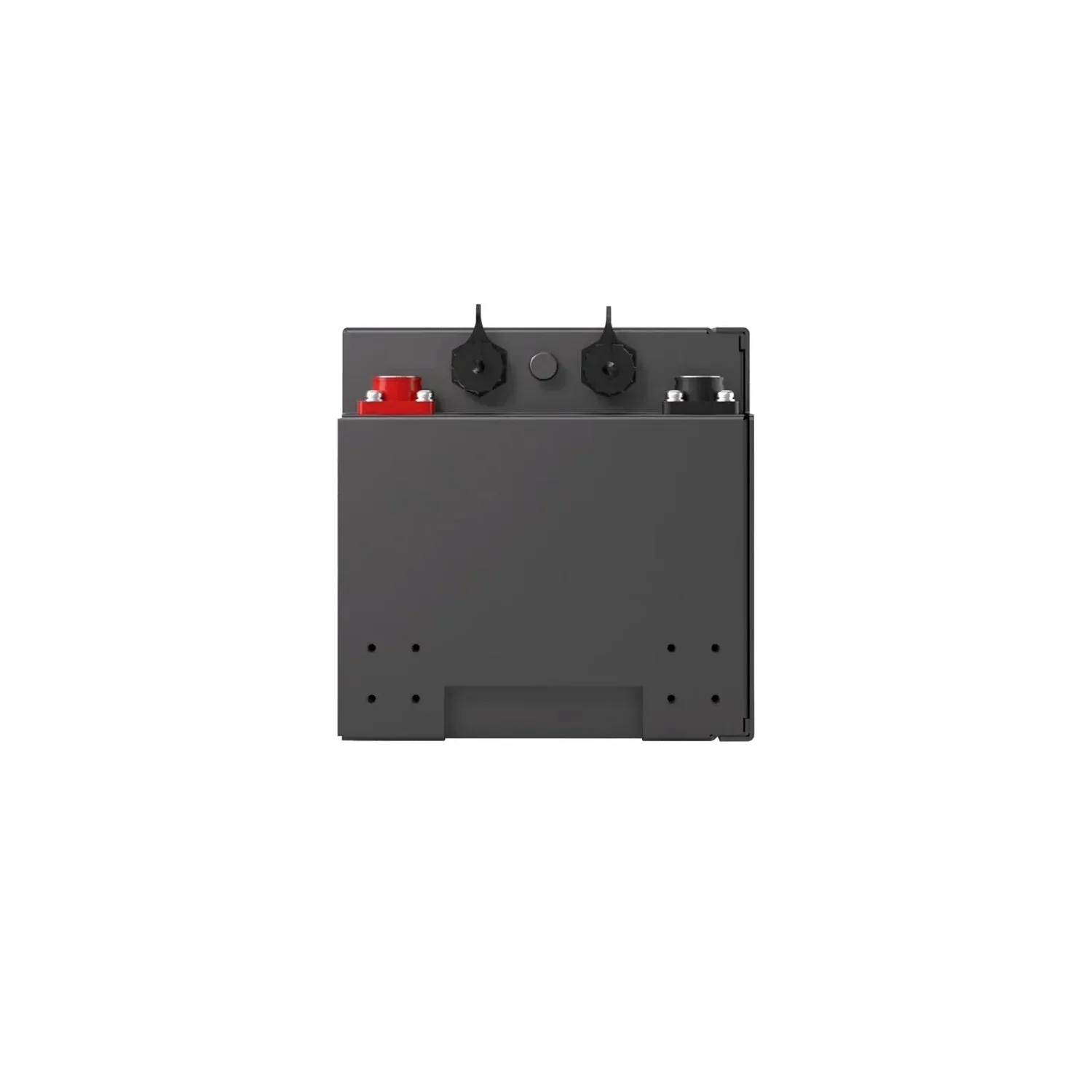 Renogy Pro S1 12V 120Ah LiFePO4 Battery, image 6