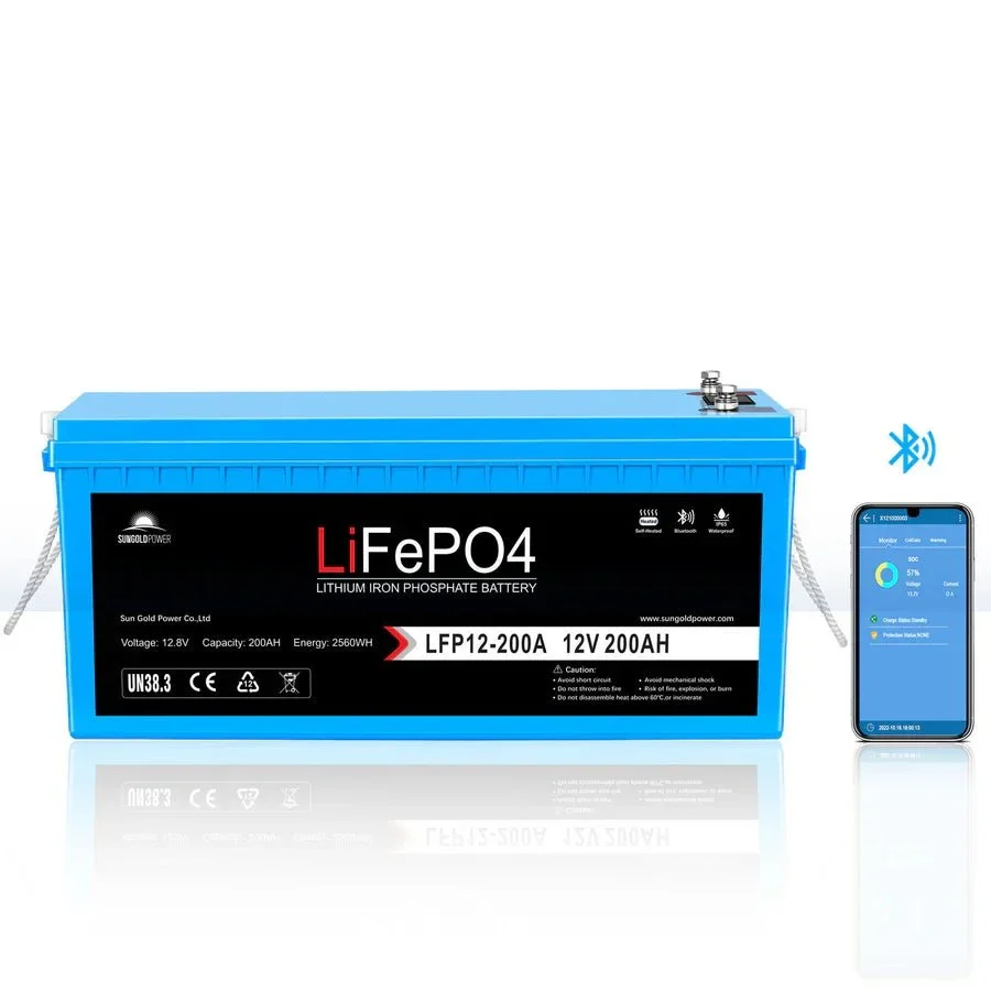 SunGoldPower 4000W DC 12V Split Phase Pure Sine Wave Inverter With Charger, image 9